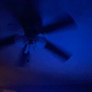 Meet your Posher, Ernesto